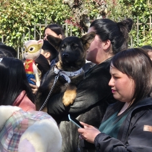 Bendición de Mascotas 2024